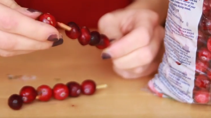 holiday-hacks-cranberries