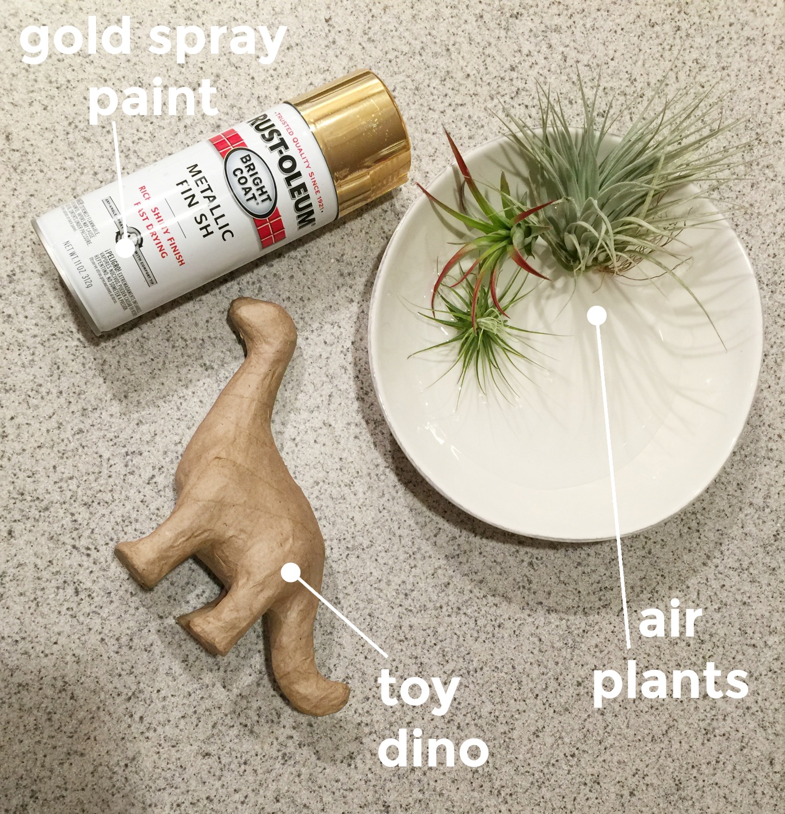 DIY Dinosaur Planter | How to Make an Animal Planter