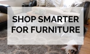 how to keep furniture clean with dogs