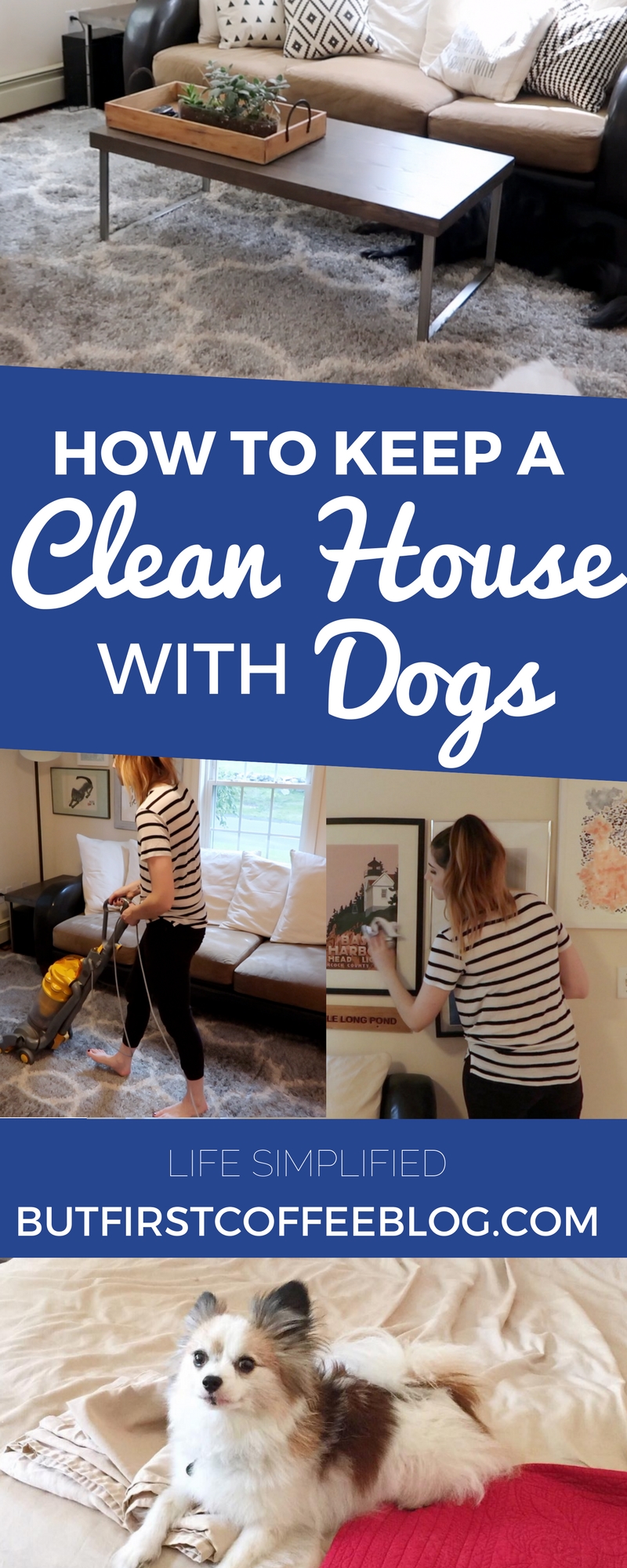 How to Keep A Clean House With Dogs | House Cleaning Hacks for Pets