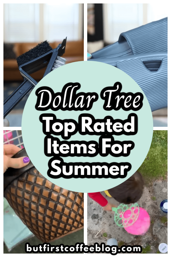 dollar tree summer items